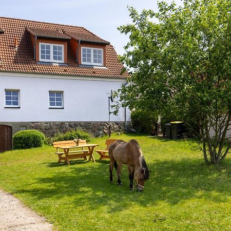 Ferienwohnung "Flori'S Ponyhof" Kröpelin Екстериор снимка